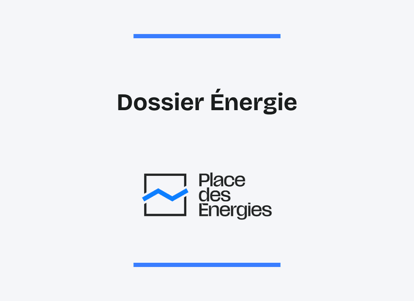 Agrivoltaïsme : avancées, réactions et enjeux pour l'agriculture et l'énergie solaire